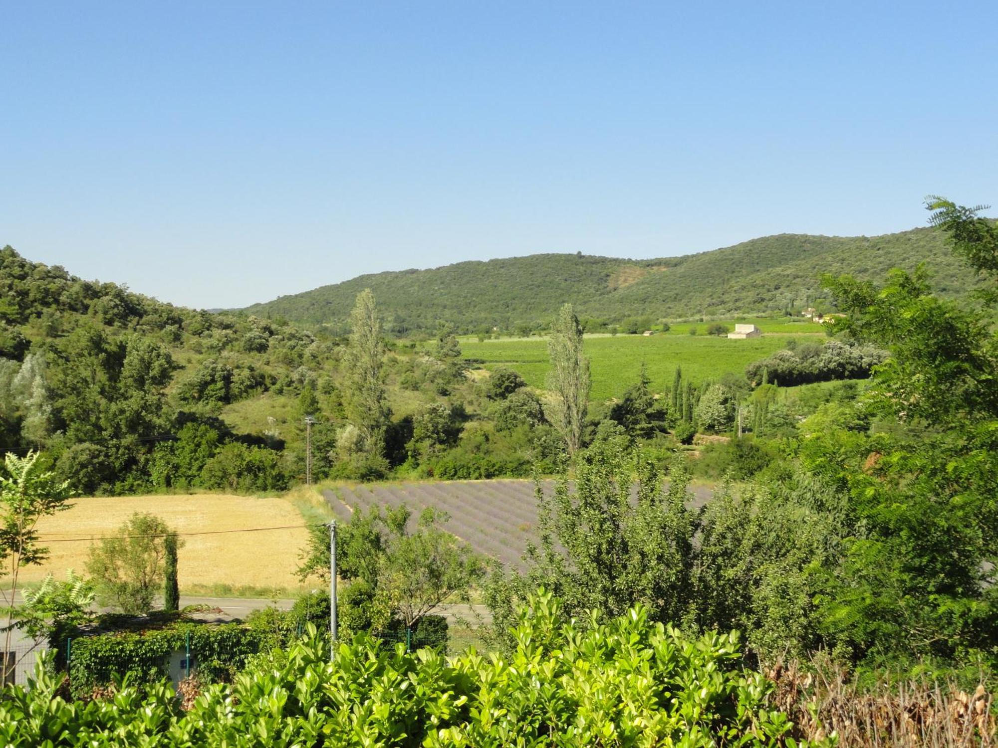 Les Lauriers Roses Vallon Pont D'Arc Lagorce  Bagian luar foto